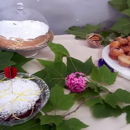 Tuttoincentro Bed & Breakfast